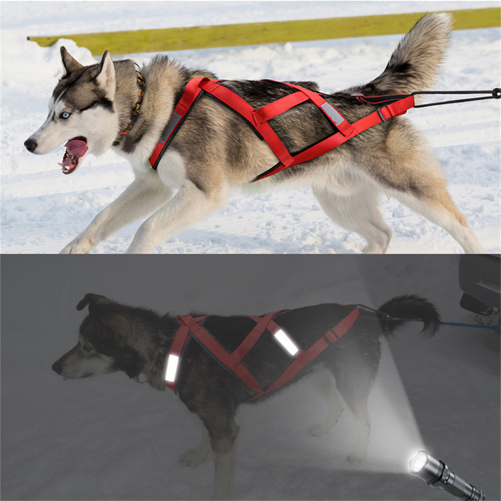 高品質大型犬用スレッジハーネス、スキー、ランニング用ペットハ - Reflective Jacket Running のレビューと価格
