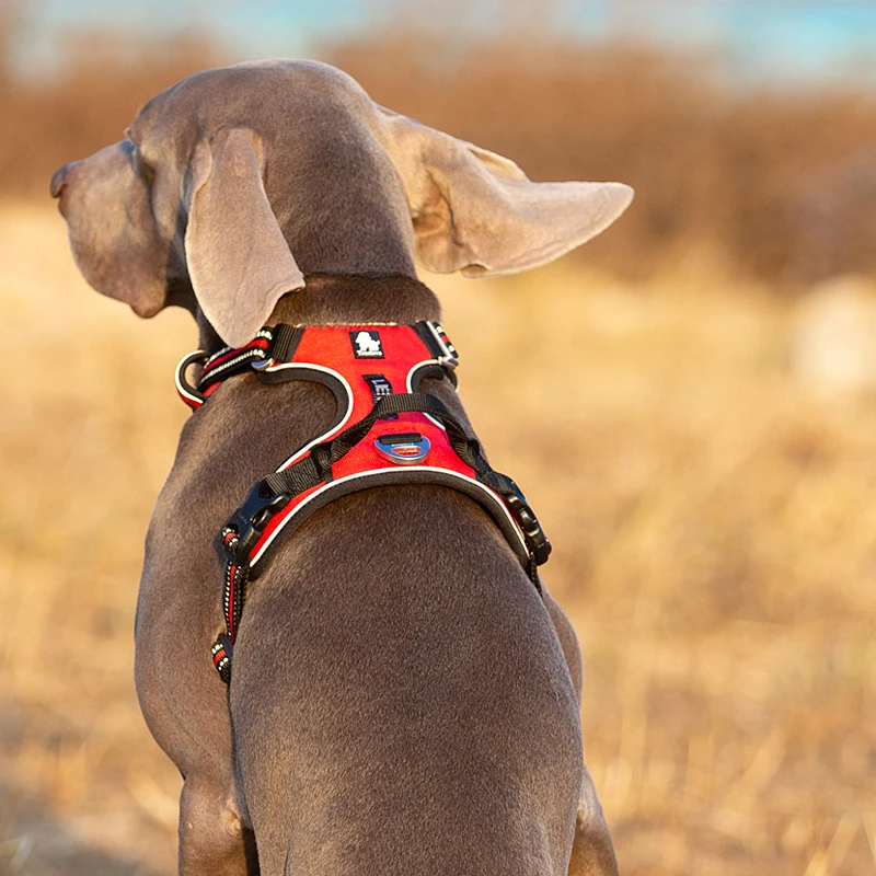 Truelove ペット反射ナイロン犬ハーネス引っ張りなし調 - Reflective Jacket Running のレビューと価格